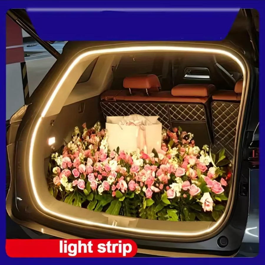 Bande LED Coffre Automatique